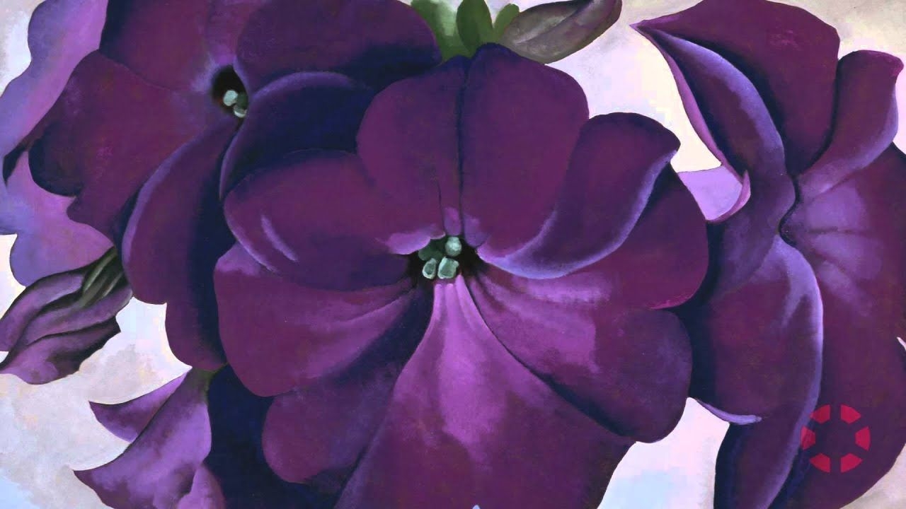 1280x720 A Minute with Colin B. Bailey on Georgia O' Keeffe's Petunias, Desktop