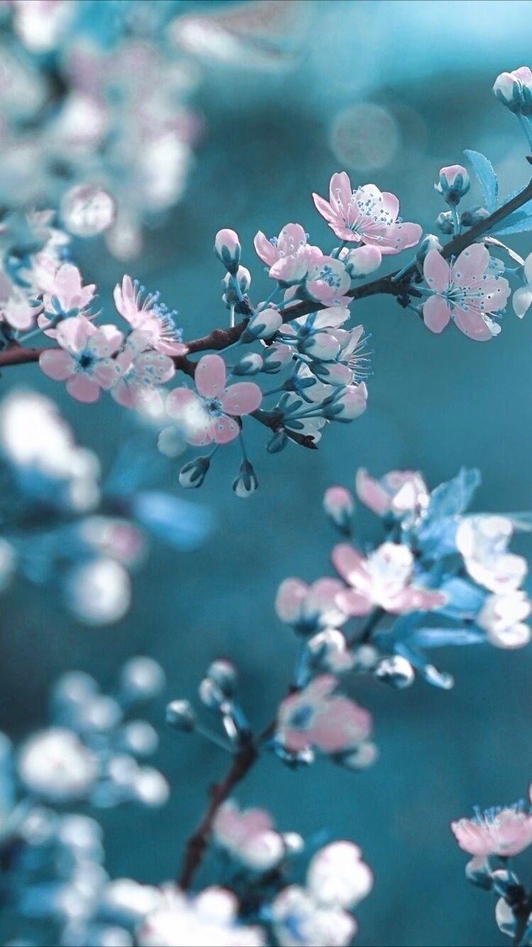 750x1340 Spring flower wallpaper for your iPhone XS from Everpix, Phone