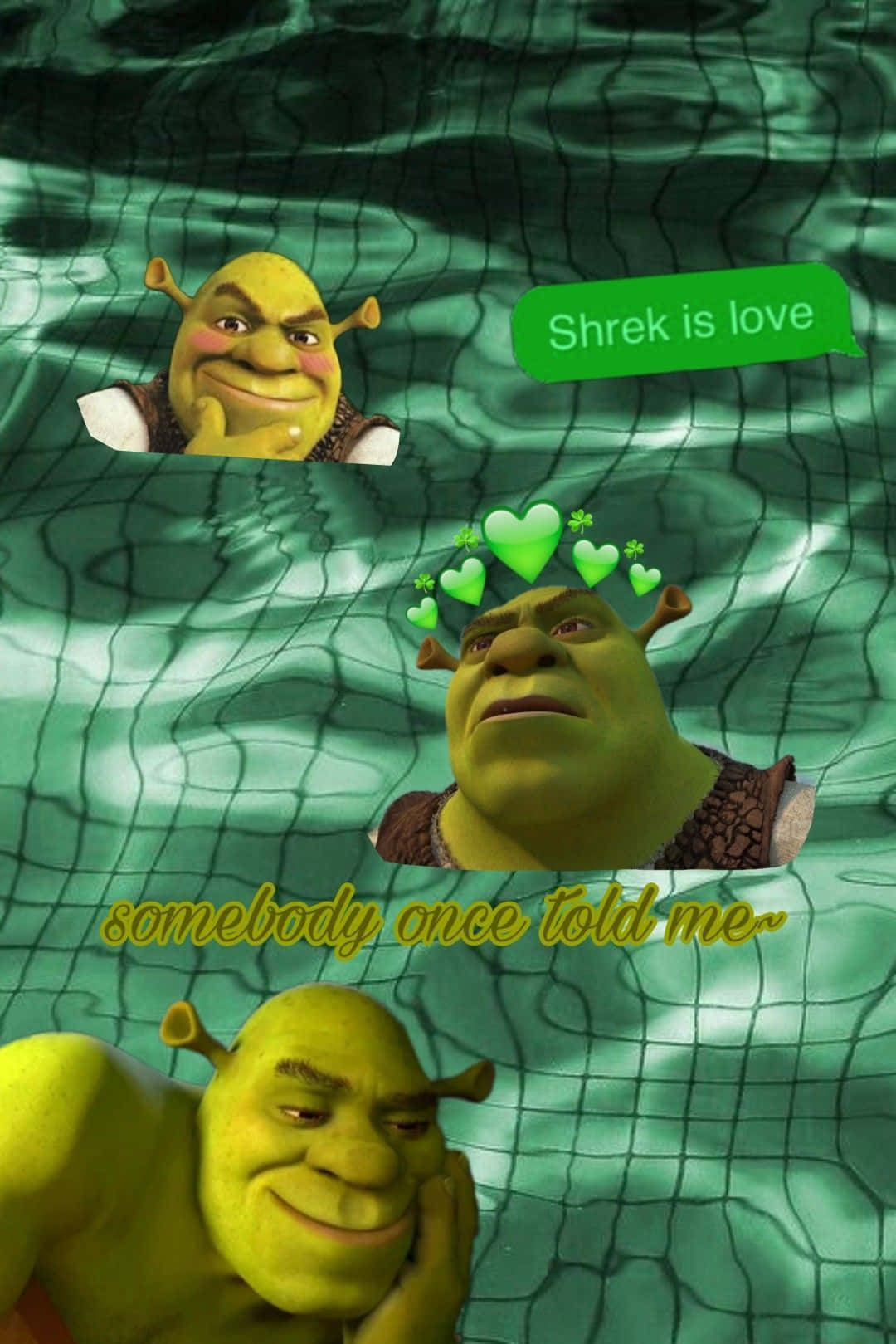 1080x1620 Download Funny Shrek Is Love Cringe, Phone