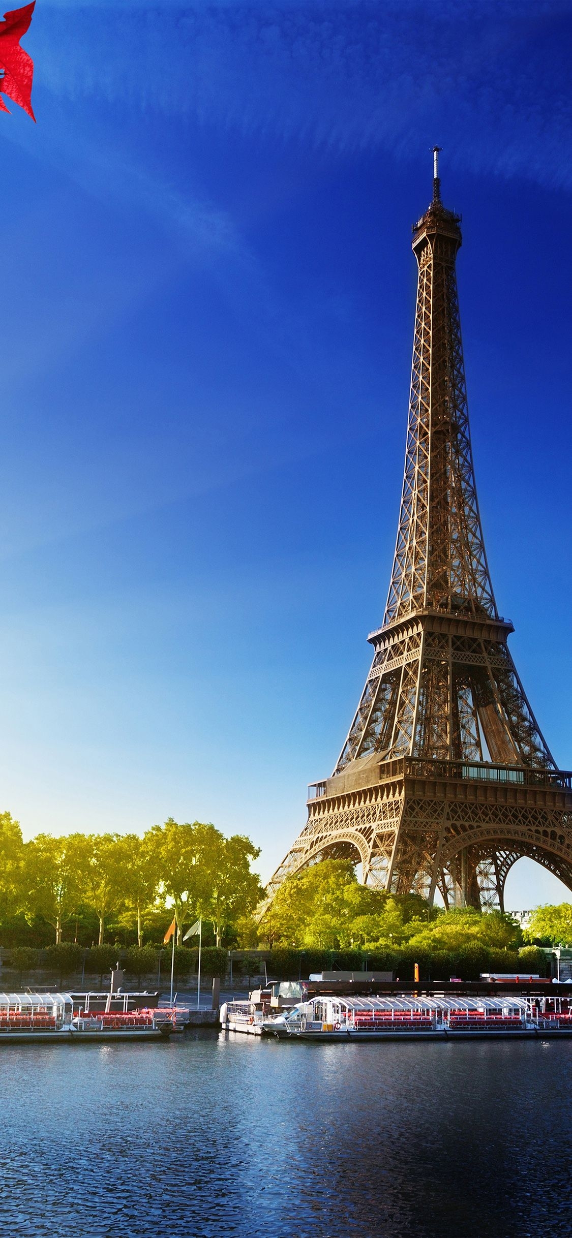 1130x2440 Movie Wallpaper: iPhone Wallpaper Eiffel Tower Image HD, Phone