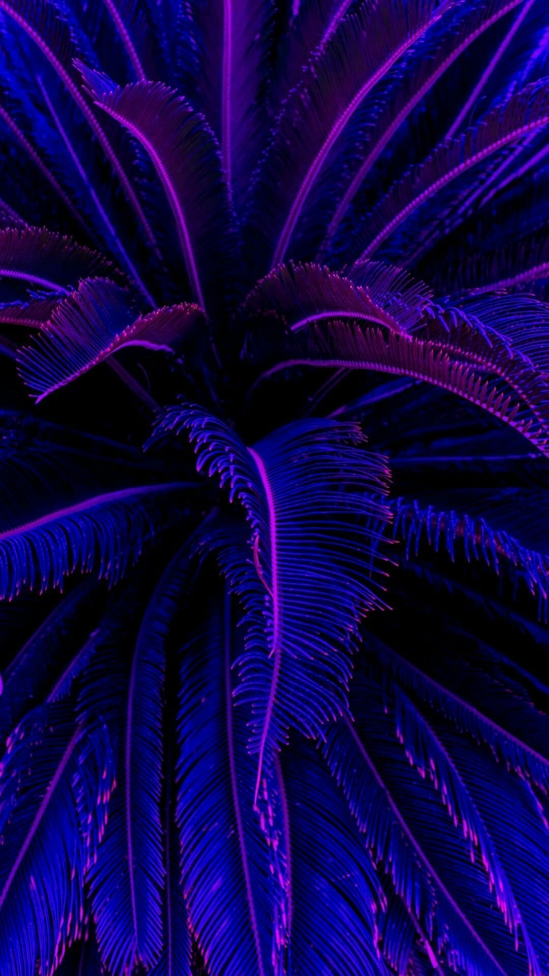 1080x1920 Neon iPhone Wallpaper, Phone