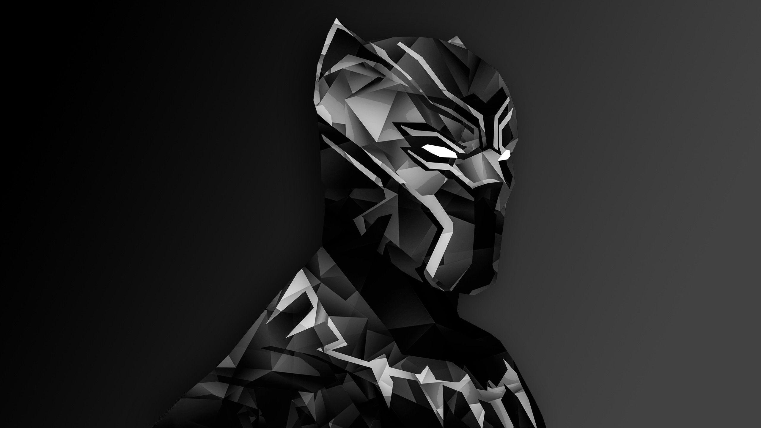 2560x1440 HD 1080P Black Panther Wallpaper, Desktop