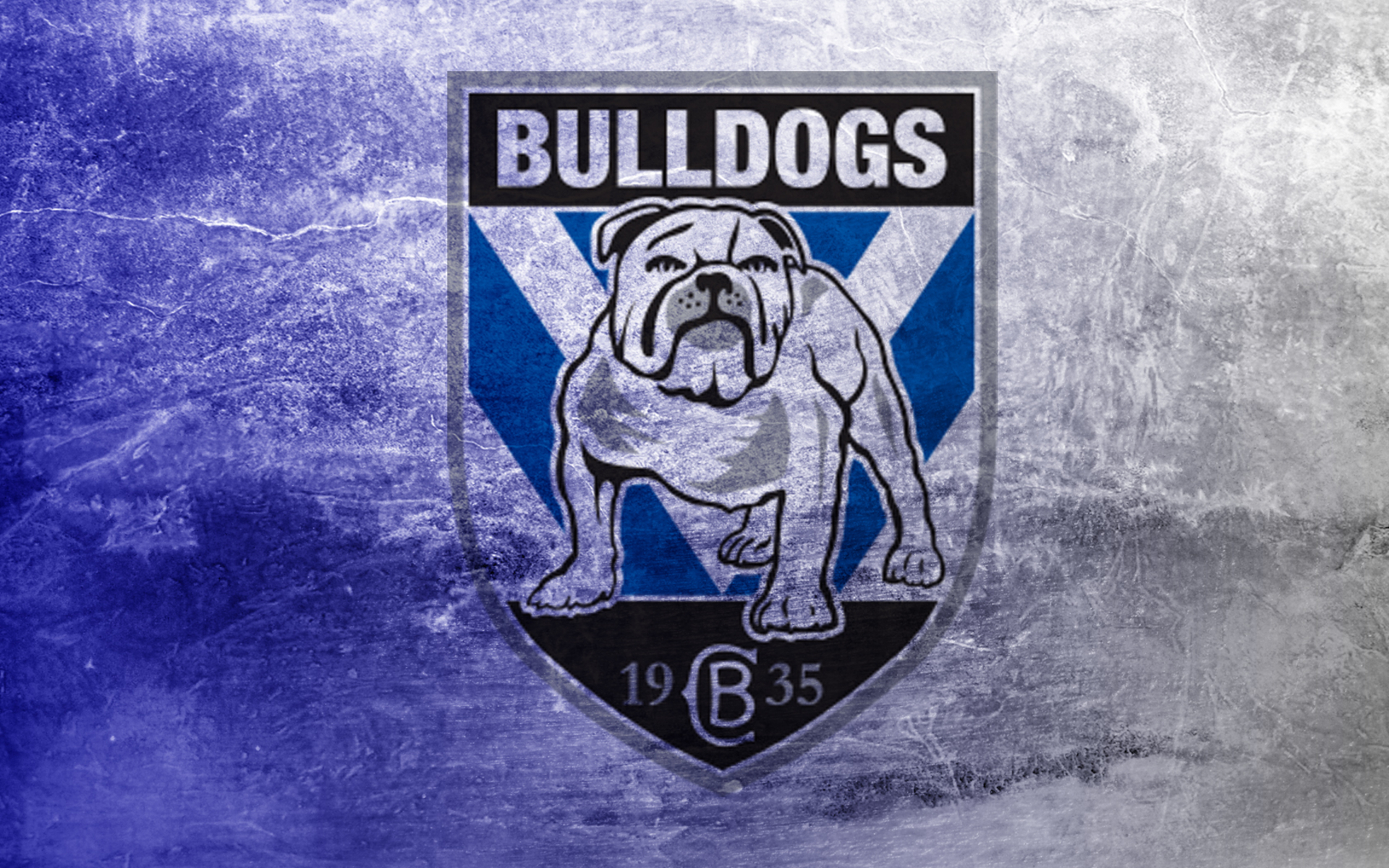 1920x1200 Canterbury Bankstown Bulldogs HD Wallpaper And Background, Desktop