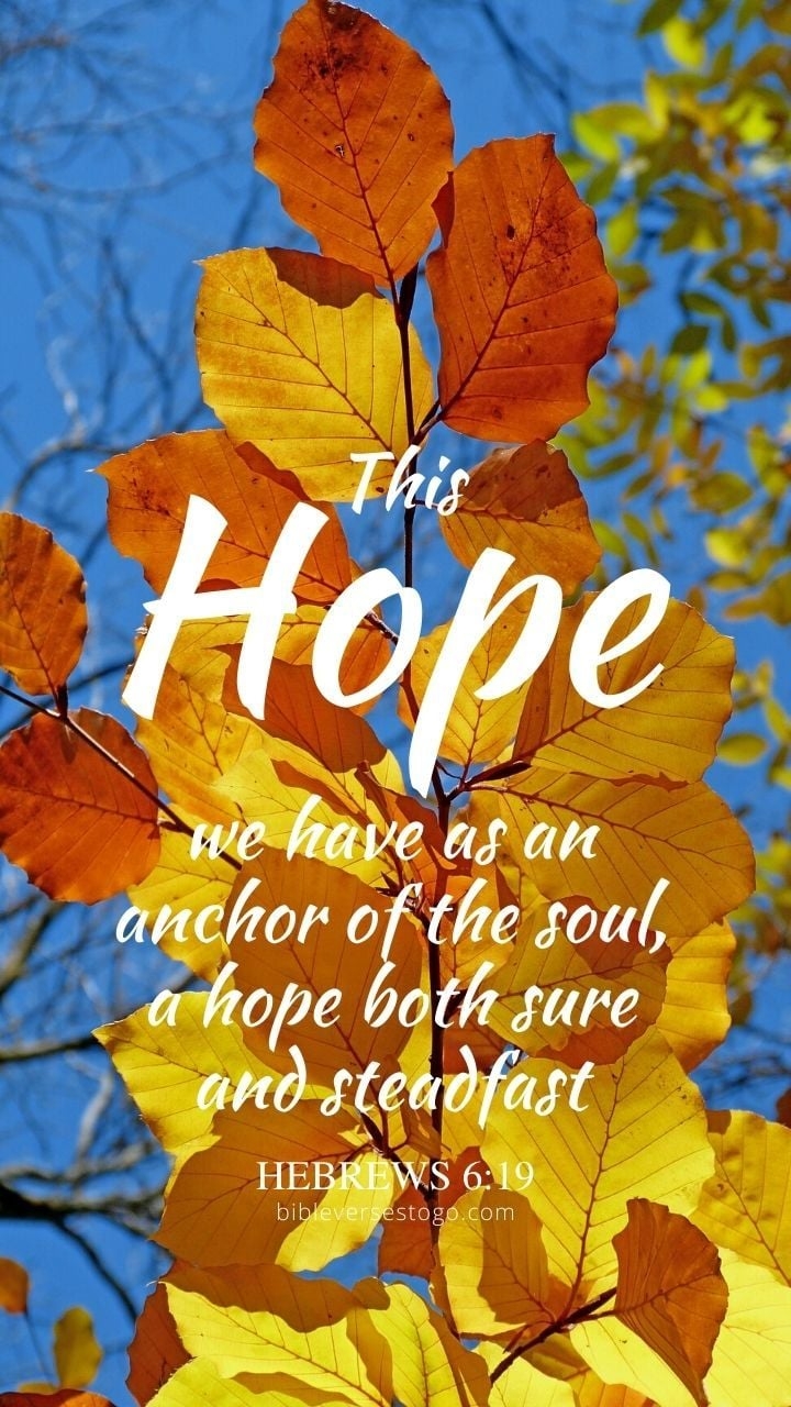 720x1280 Autumn Leaves Hebrews 6:19 Phone Wallpaper Verses To Go, Phone