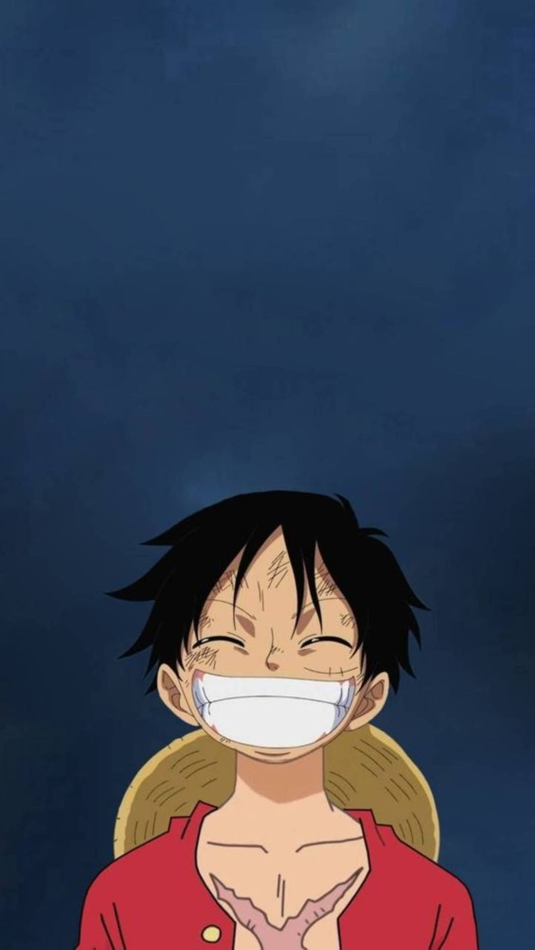 1090x1920 Download Monkey D Luffy Smile Wallpaper, Phone