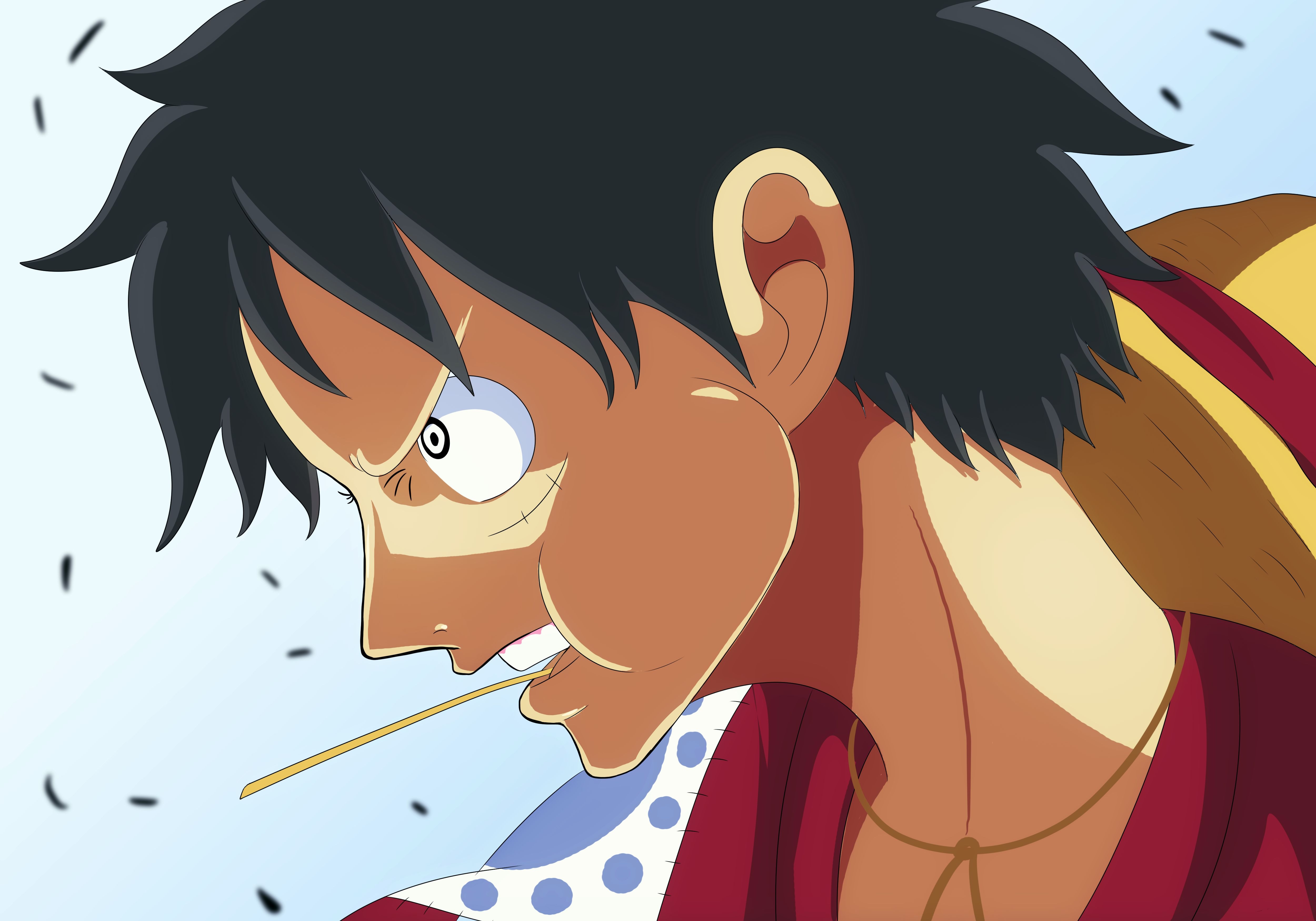 5000x3500 HD desktop wallpaper: Anime, One Piece, Desktop