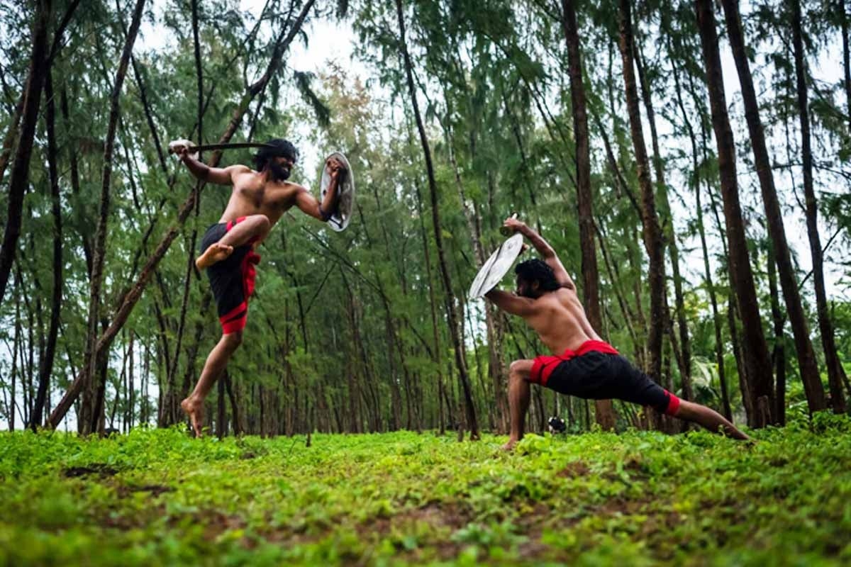 1200x800 Kalaripayattu to Silambam, how ancient martial art forms have gone virtual, Desktop