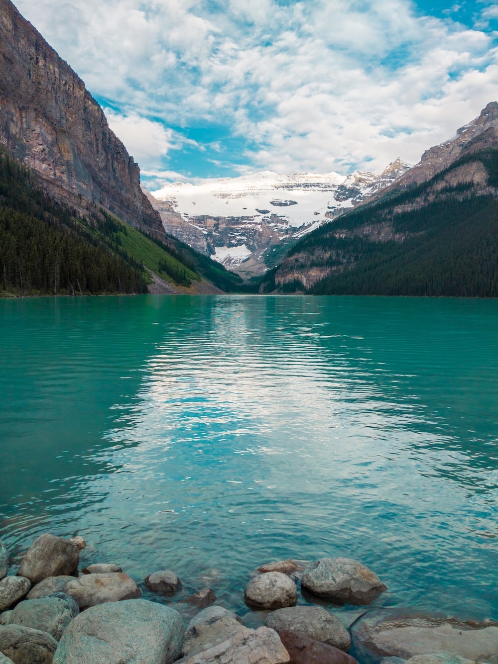 1000x1340 Calm body of water beside trees photo, Phone