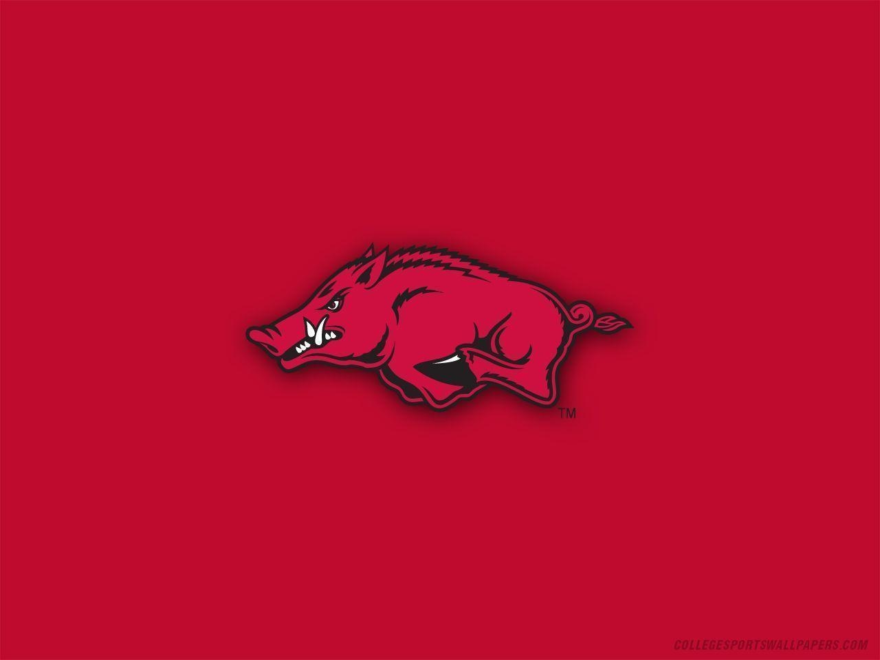 1280x960 Razorback Wallpaper, Desktop