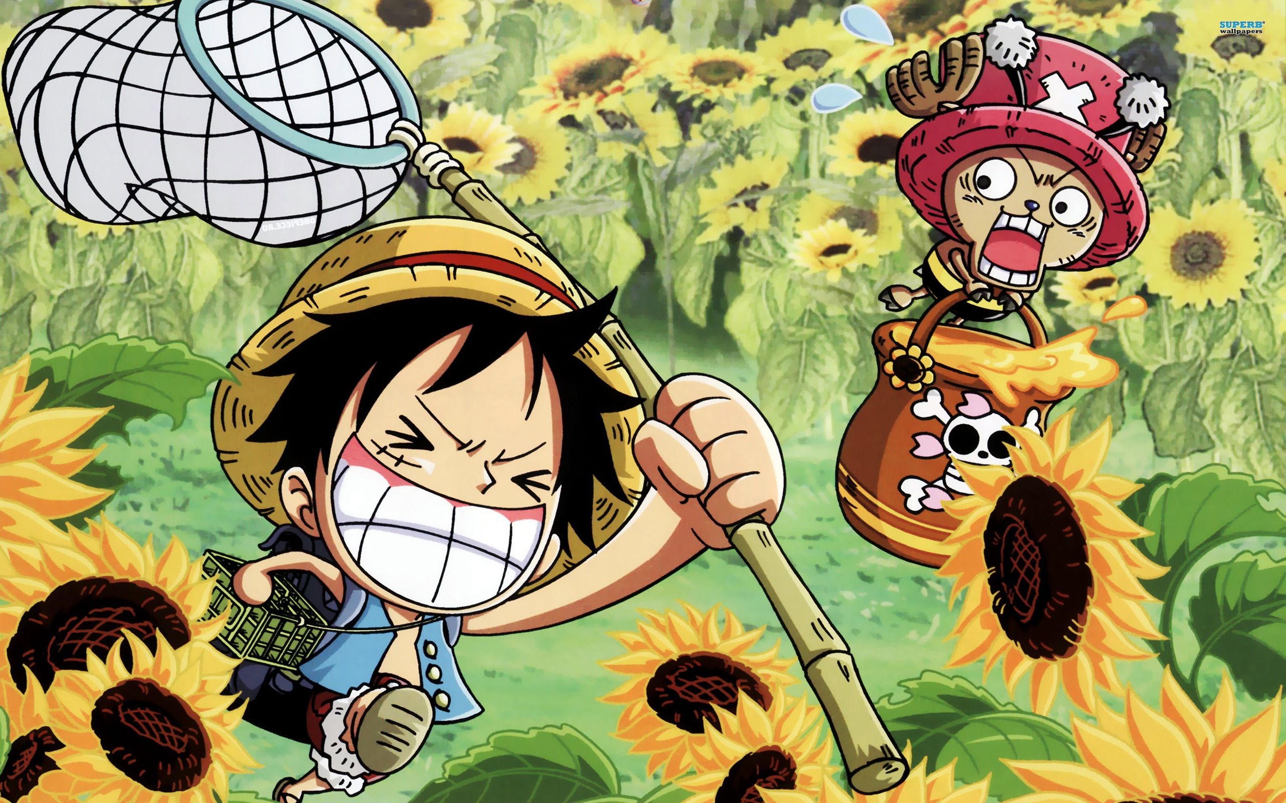 2560x1600 One Piece Background Desktop, Desktop