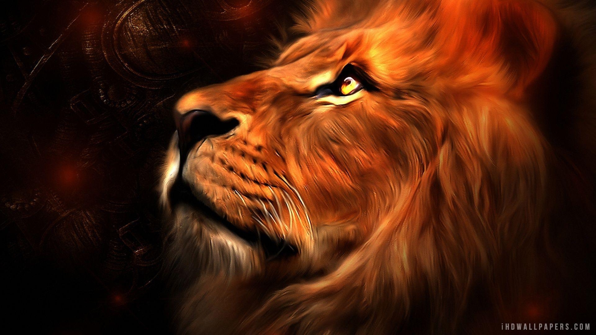 1920x1080 Lion in my Heart, Desktop