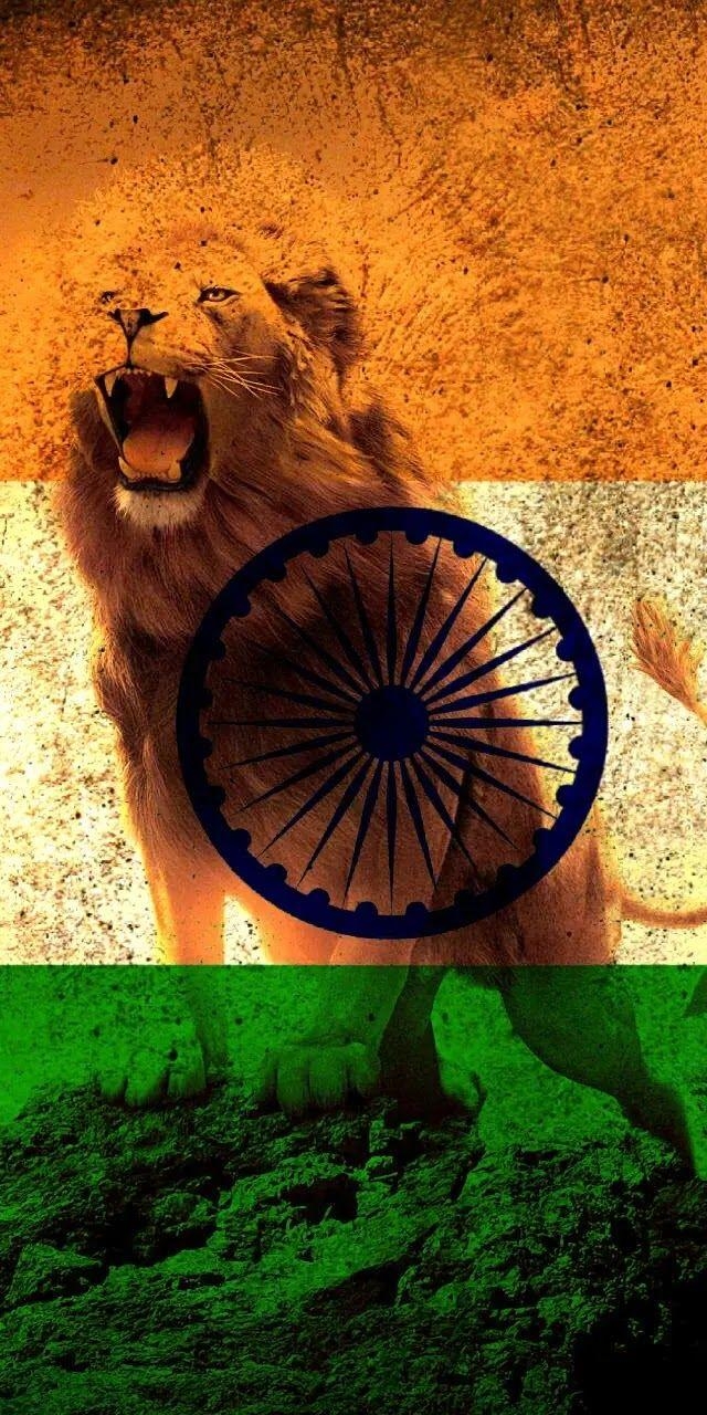 640x1280 Beautiful Indian Flag Newest Wallpaper Collection in 2019, Phone