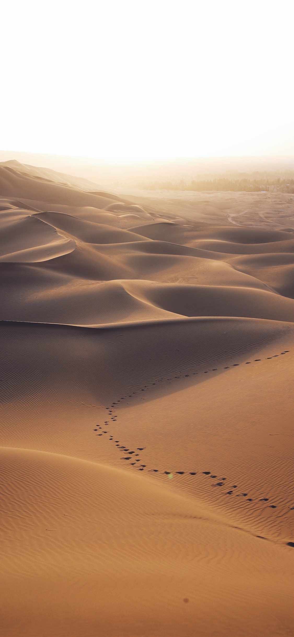 1130x2440 aerial photo of brown desert Wallpaper. iPhone wallpaper landscape, Desert wallpaper, Aesthetic wallpaper landscape, Phone