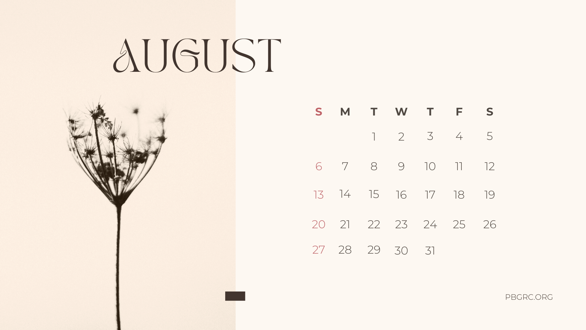 1920x1080 Cute August 2023 Floral Calendar Wallpaper, Desktop