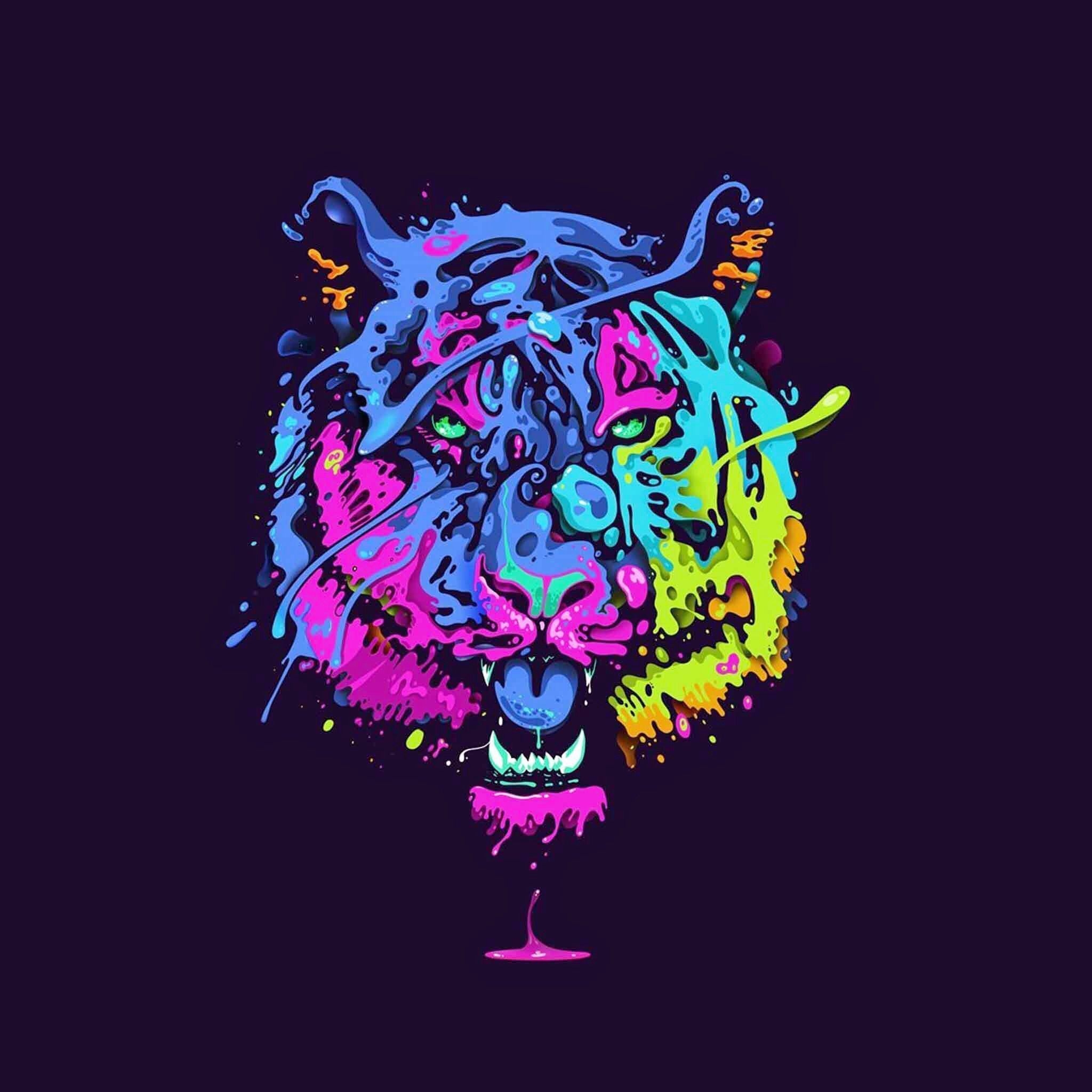 2050x2050 Rainbow tiger. Tiger art, Tiger wallpaper, Art wallpaper, Phone