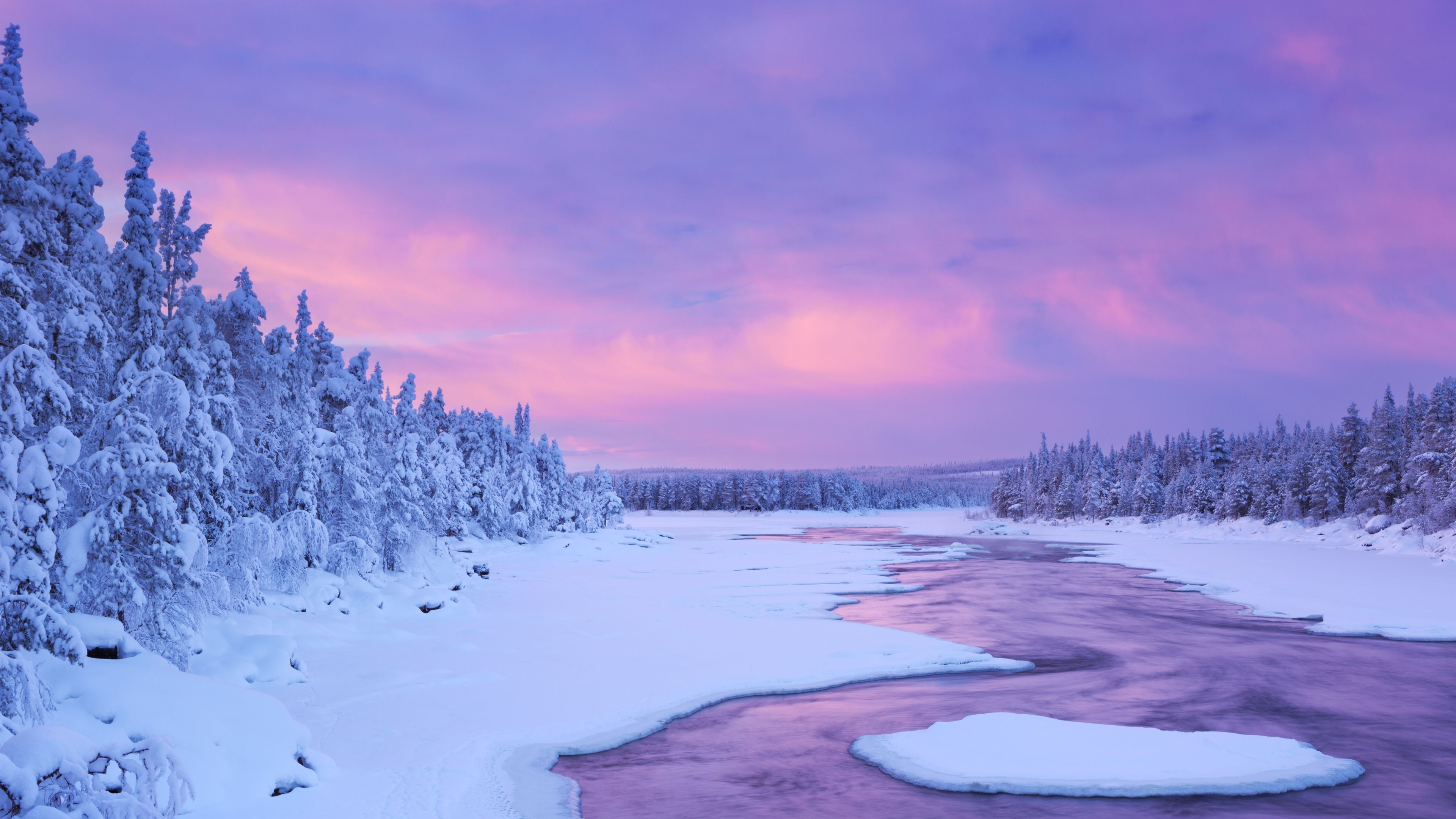 3840x2160 Wallpaper 4k Winter 5k 5k Wallpaper, Hd Wallpaper, Nature Wallpaper, Pink Wallpaper, Snow Wallpaper, Winter Wallpaper, Desktop