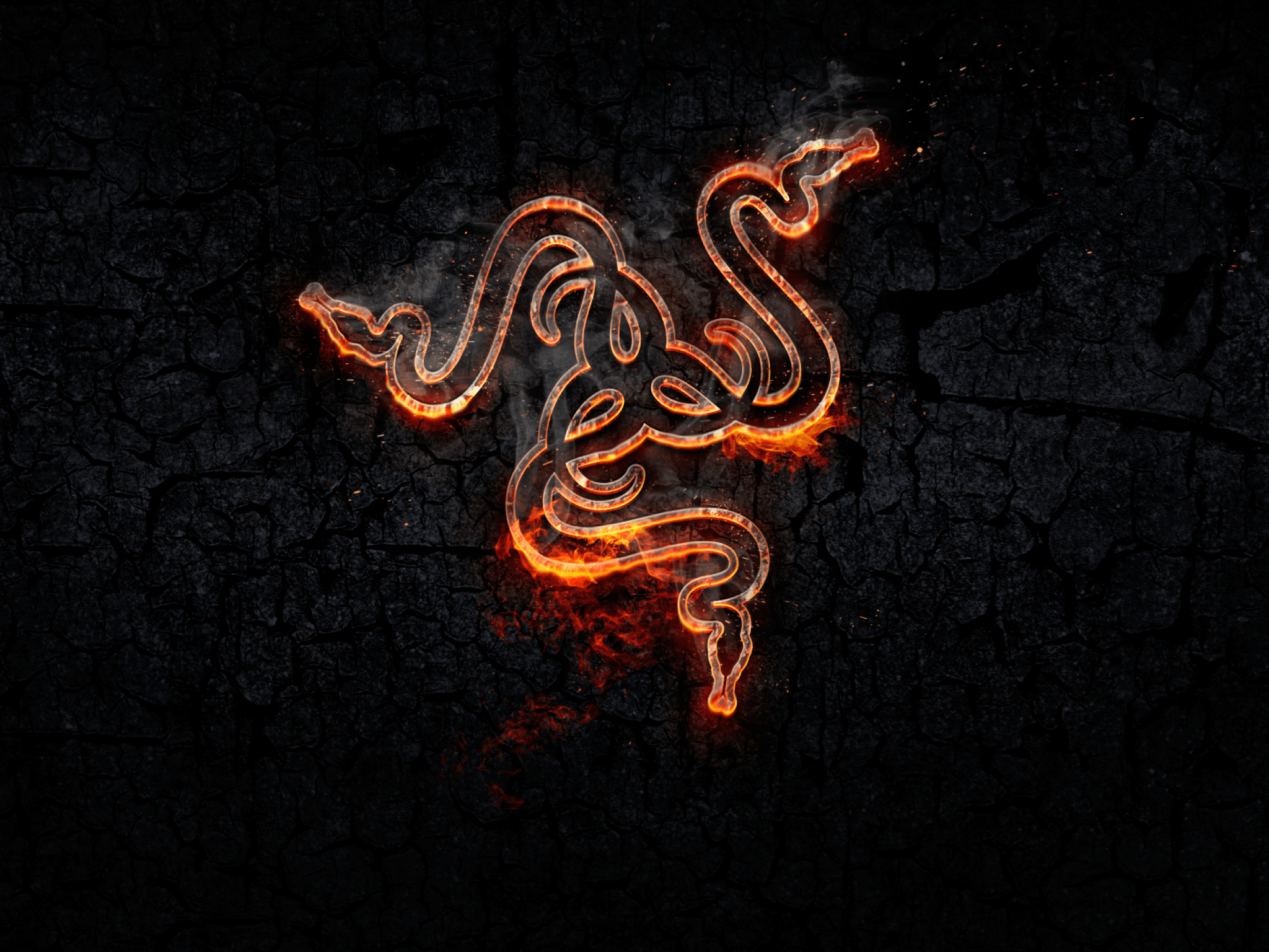 2050x1540 Download  Razer, Logo, Fire, Gaming, Snake Wallpaper, Desktop