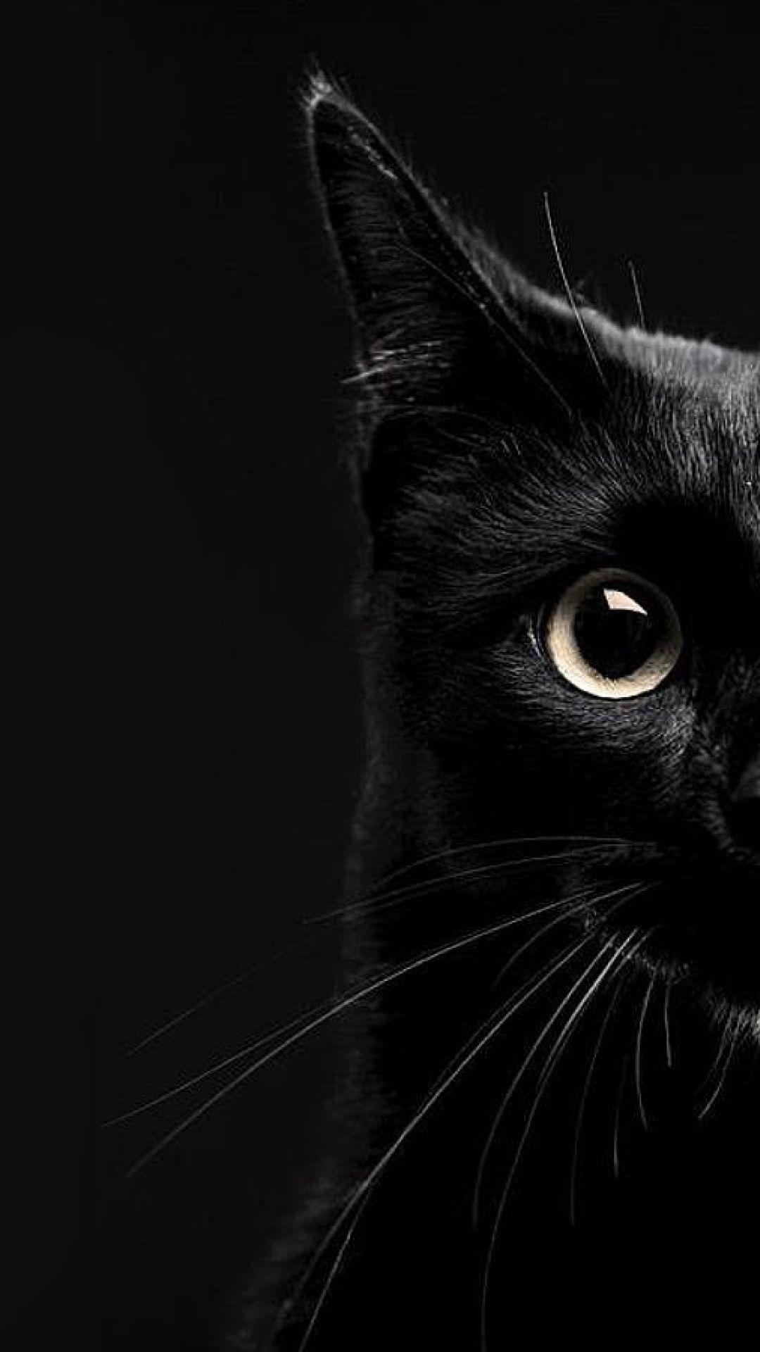 1080x1920 Black Cat Phone Wallpaper Free Black Cat Phone Background, Phone