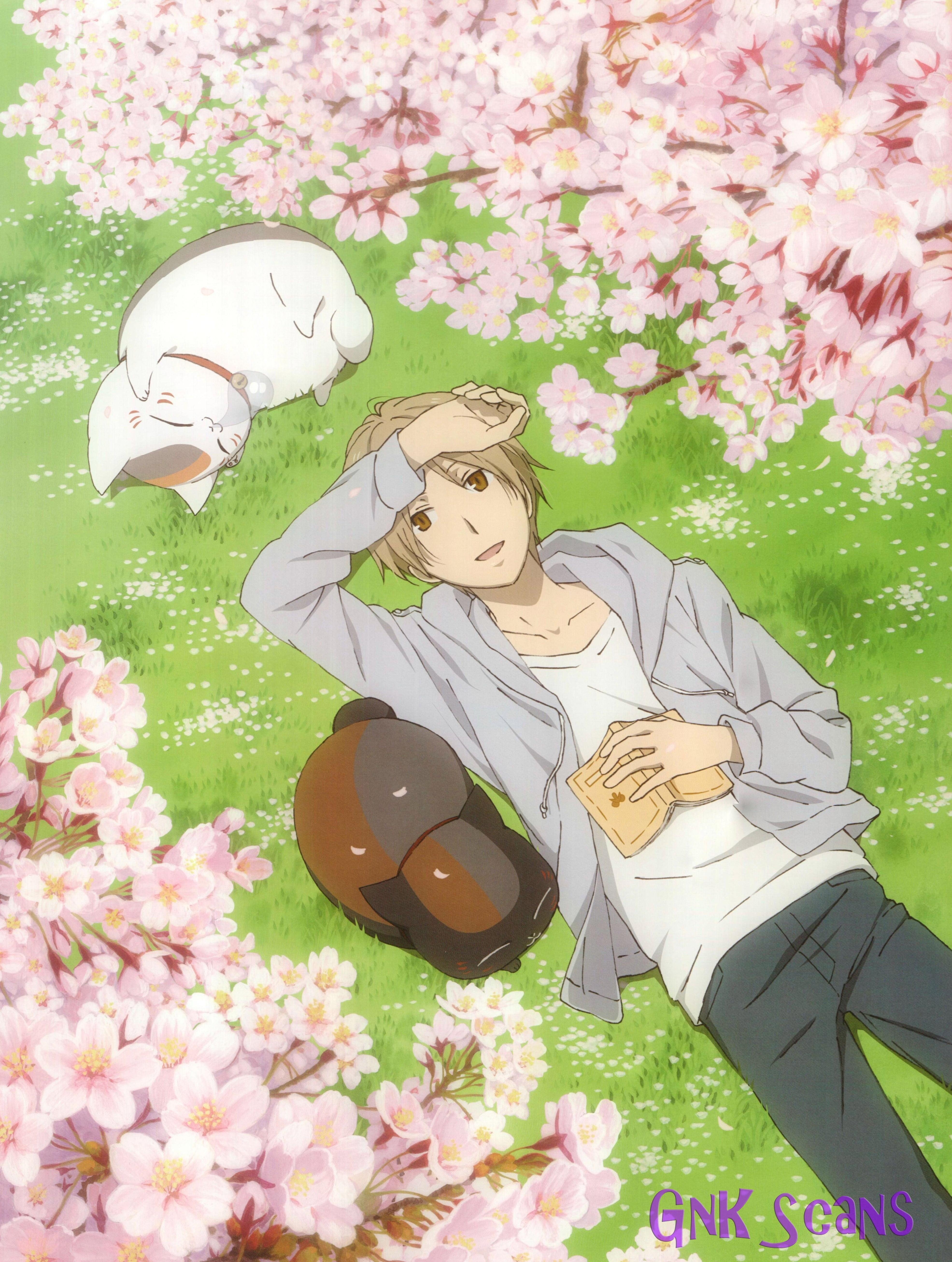 3950x5230 Male anime character digital wallpaper, Natsume Book of Friends, Phone