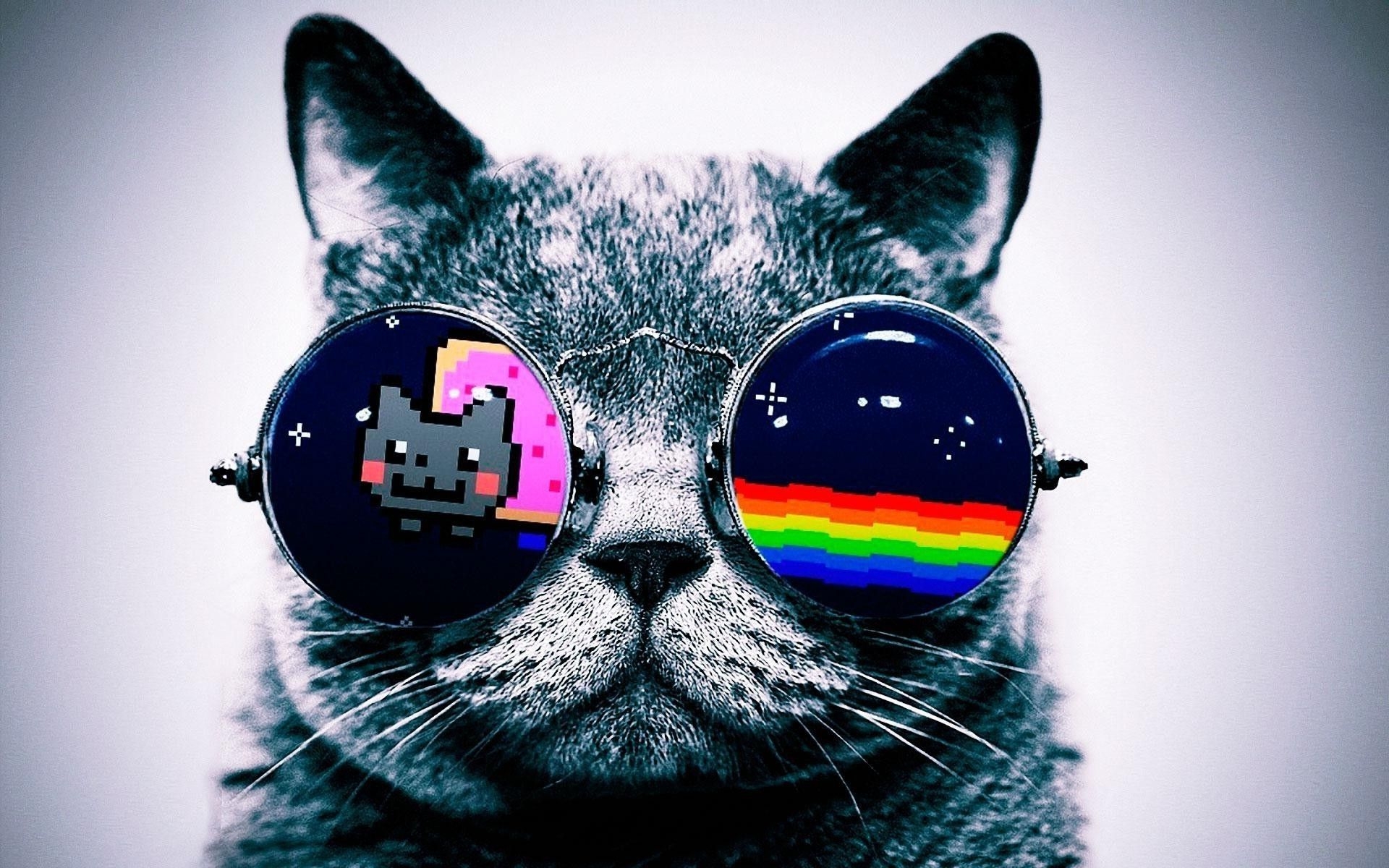 1920x1200 Galaxy Cat Wallpaper, Desktop