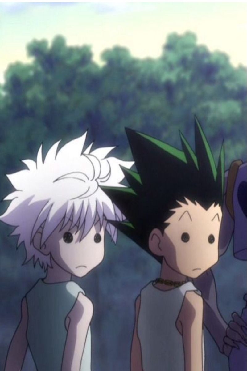 810x1200 Gon and Killua Wallpaper Free HD Wallpaper, Phone