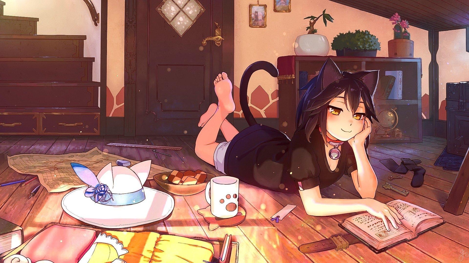 1920x1080 Cat Girl HD Wallpaper and Background Image, Desktop