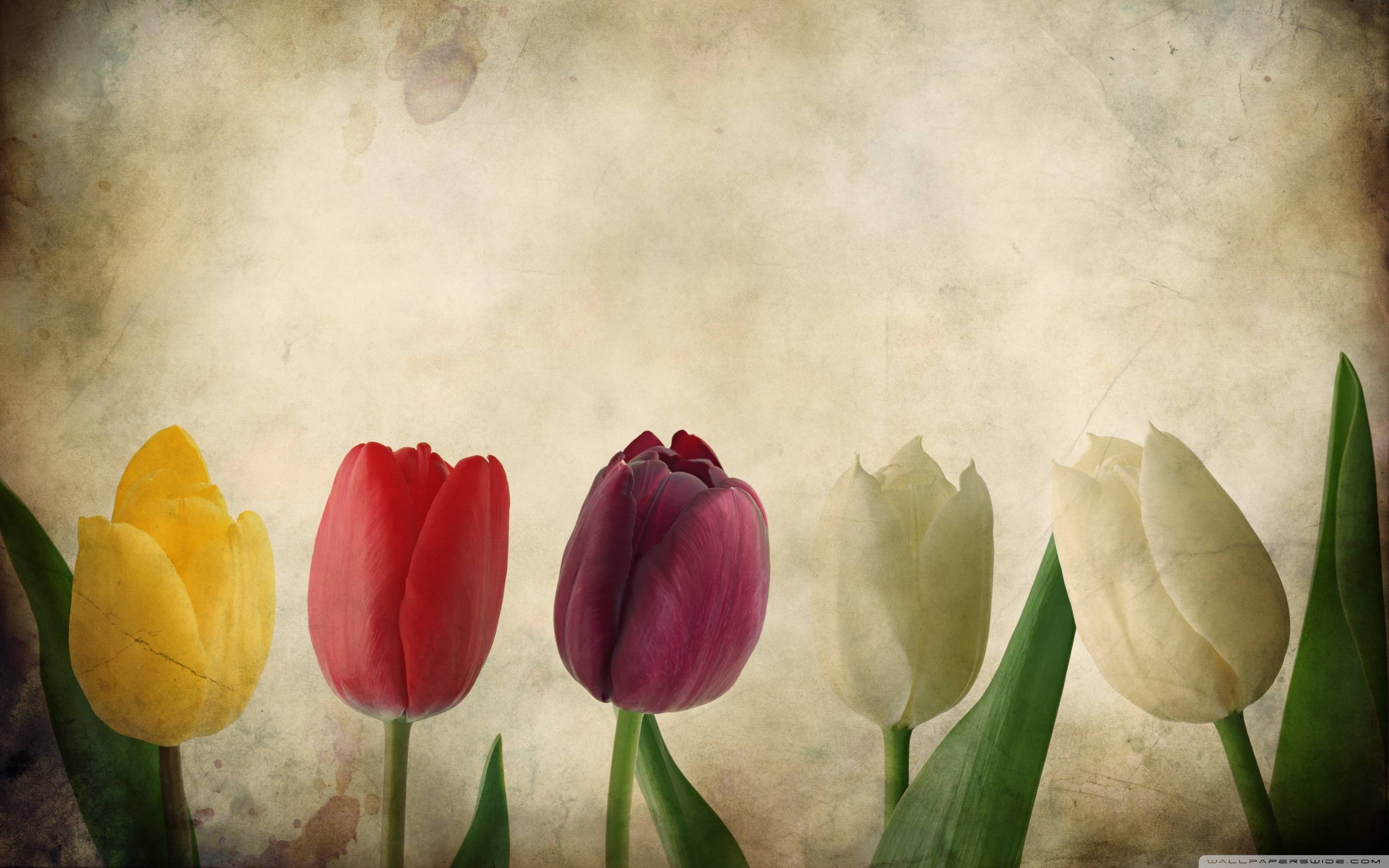 2880x1800 Vintage Spring Wallpaper Free Vintage Spring Background, Desktop