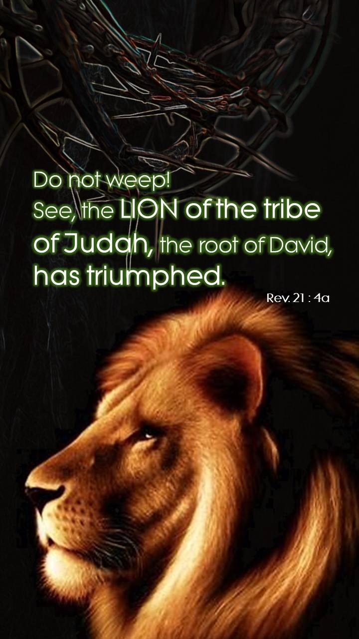 720x1280 Lion of Judah wallpaper, Phone