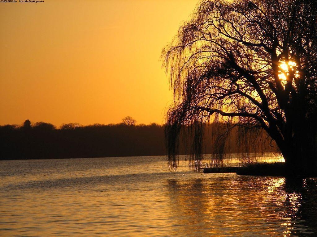 1030x770 My Free Wallpaper Wallpaper, Mississipi River, Desktop