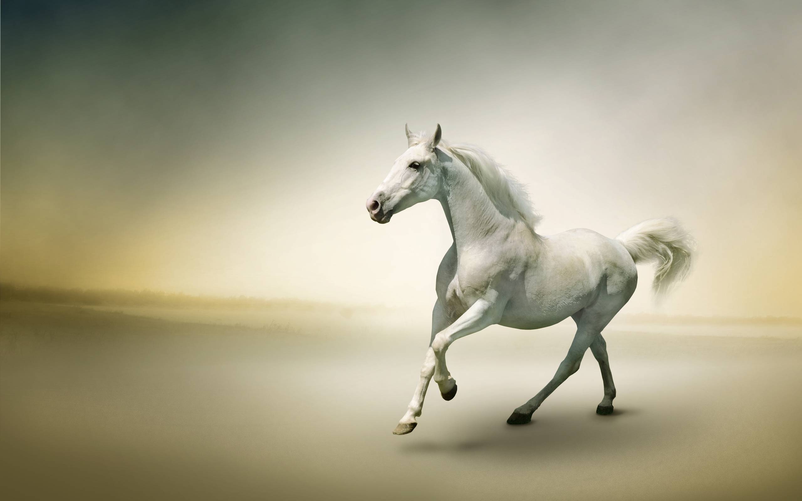 2560x1600 Running Horse Wallpaper Free Running Horse Background, Desktop