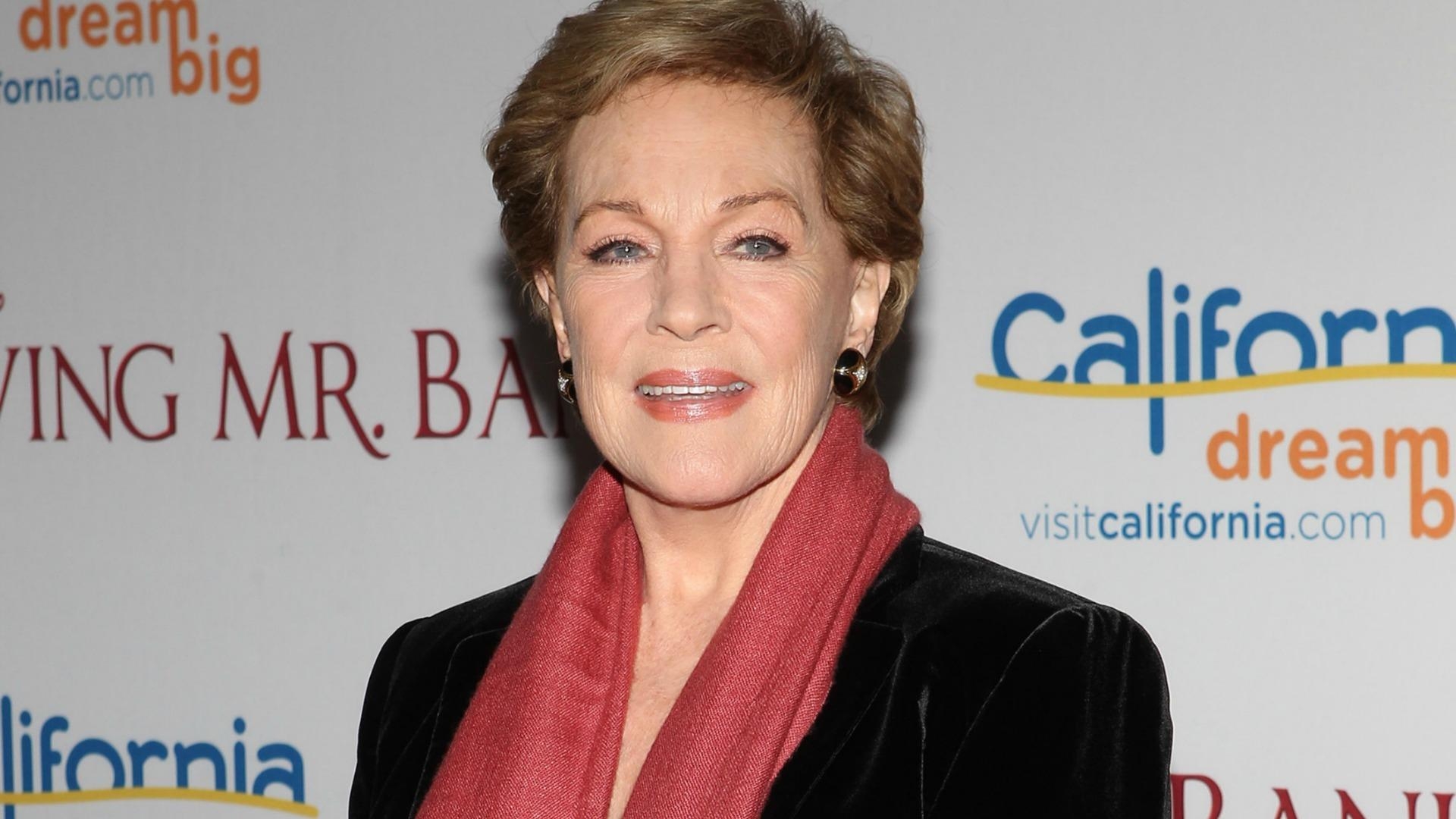 1920x1080 Julie Andrews Is Down For A Fifty Shades Of Grey Style Spanking, Desktop