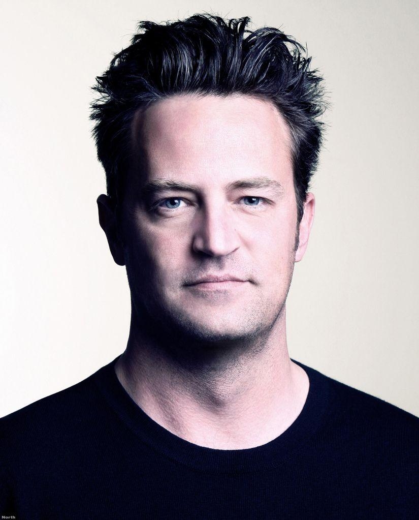 830x1030 Awesome Matthew Perry HD Wallpaper Free Download, Phone