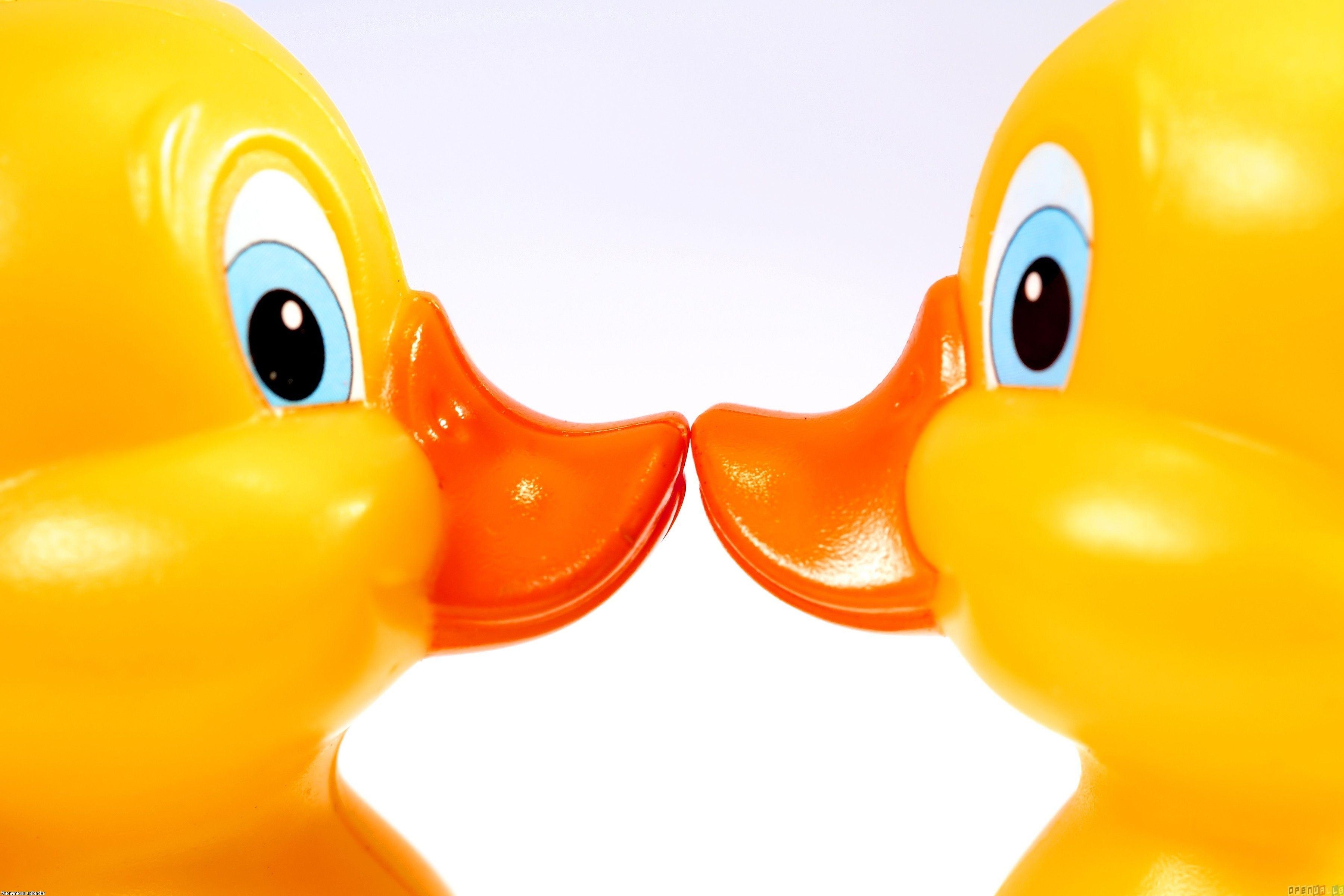 3600x2400 Rubber ducks wallpaper Open Walls, Desktop