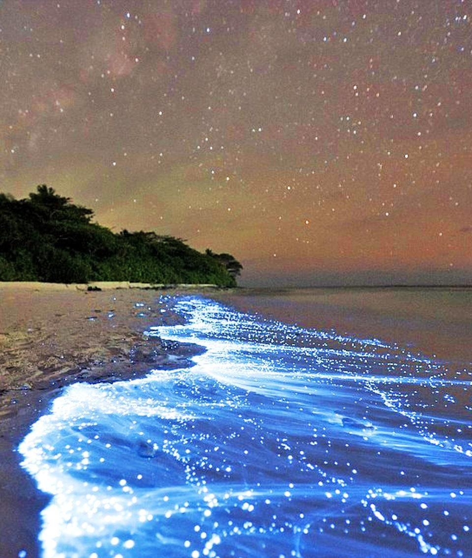 960x1140 Sea Of Stars, Vaadhoo Island. Beautiful places and things in 2019, Phone