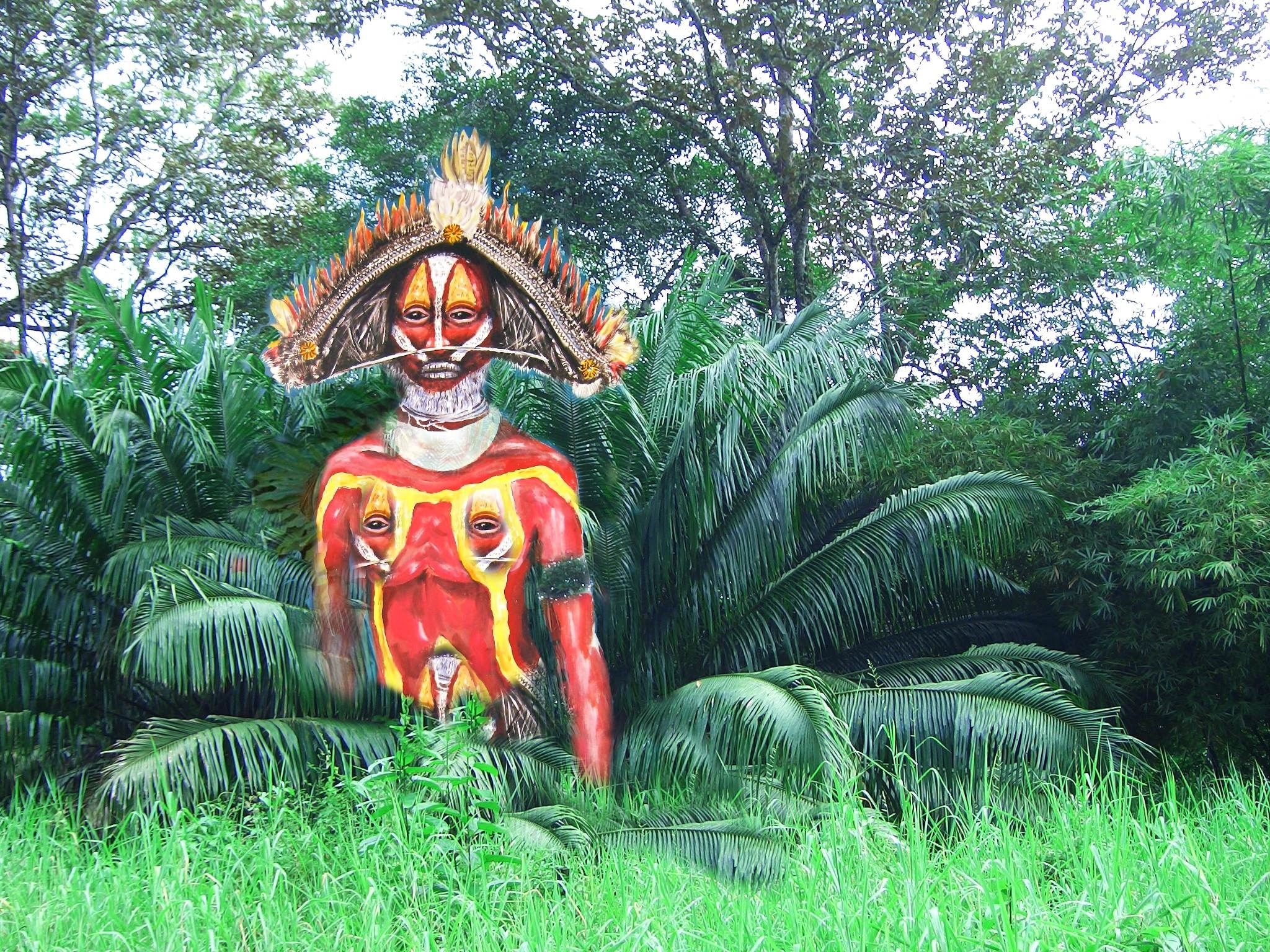 2050x1540 Warrior From Papua New Guinea Image, Desktop