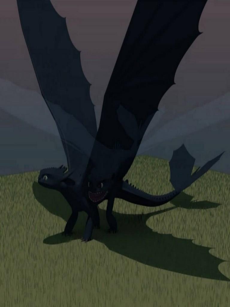 770x1030 Dragon Toothless Live Wallpaper for Android, Phone