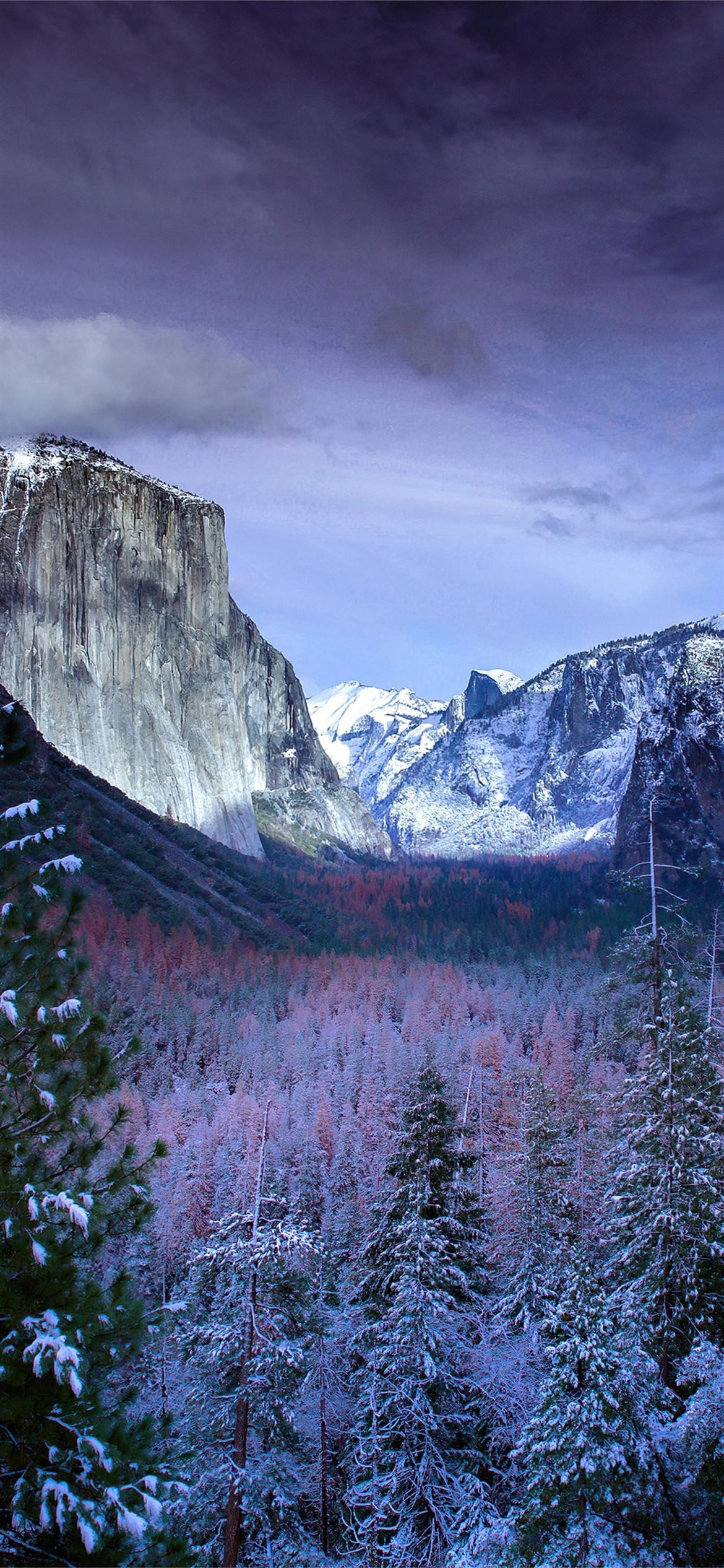 1170x2540 snow forests yosemite scenery 4k iPhone 12 Wallpaper Free Download, Phone