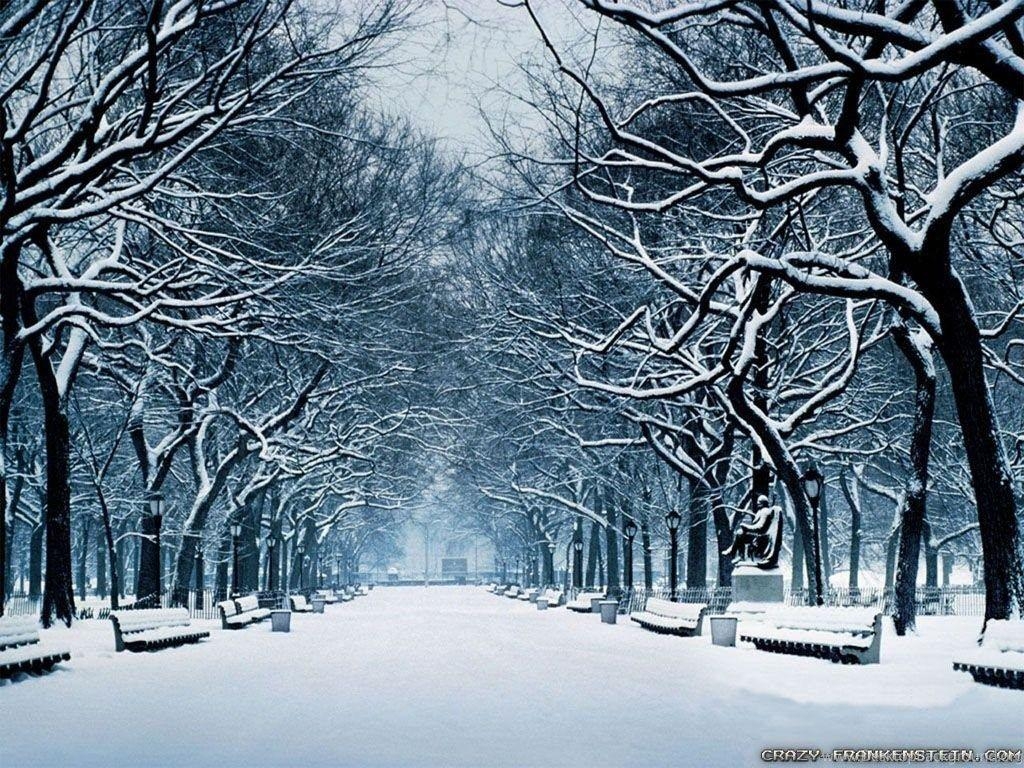 1030x770 Winter Season Wallpaper Crazy Frankenstein Desktop Background, Desktop