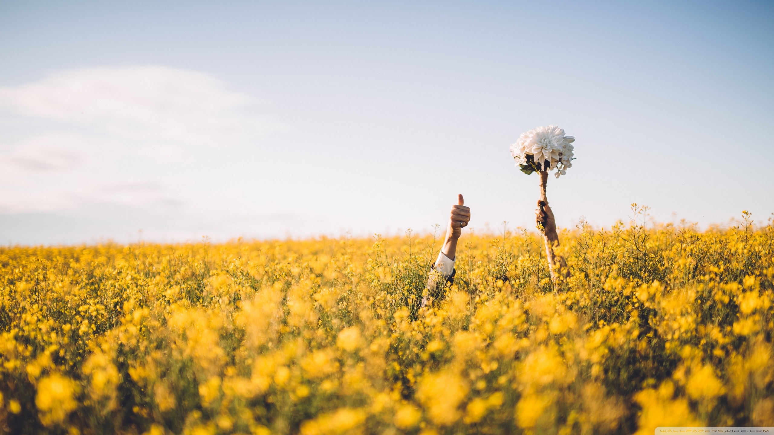 2560x1440 Just Married ❤ 4K HD Desktop Wallpaper for 4K Ultra HD TV • Wide, Desktop