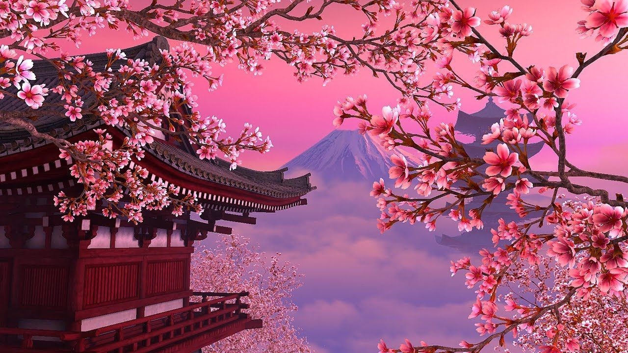 1280x720 Sakura Tree Wallpaper High Quality. Cherry blossom, Desktop