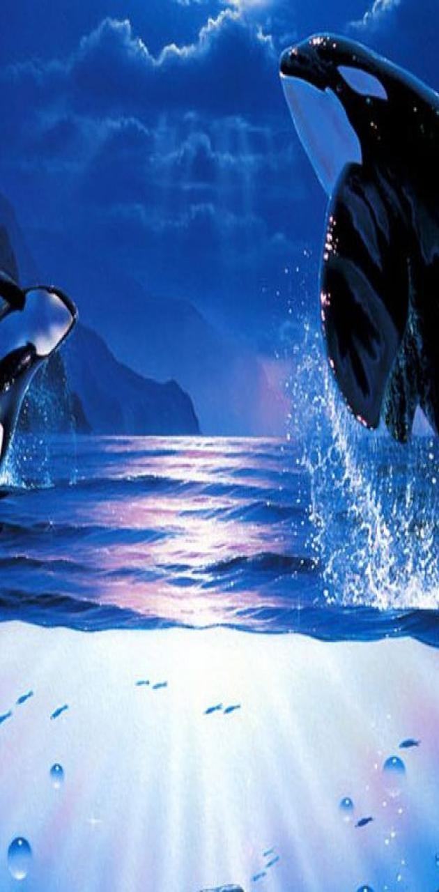 630x1280 Orca Underwater wallpaper, Phone