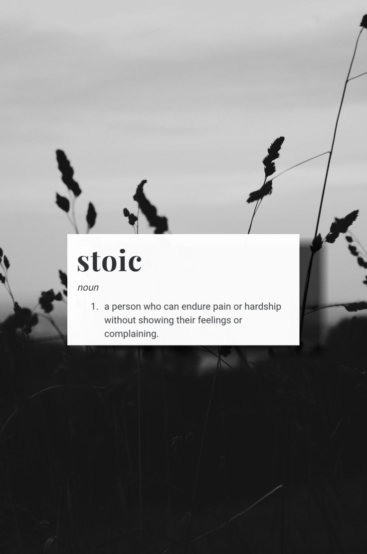 740x1120 Stoic Aesthetic Wallpaper. Stoicism quotes, Stoic, Stoic quotes, Phone