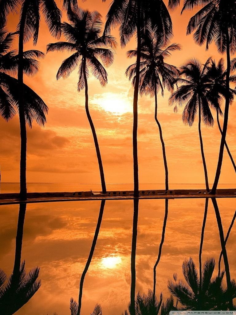 770x1030 Hawaiian wallpaper Gallery, Phone