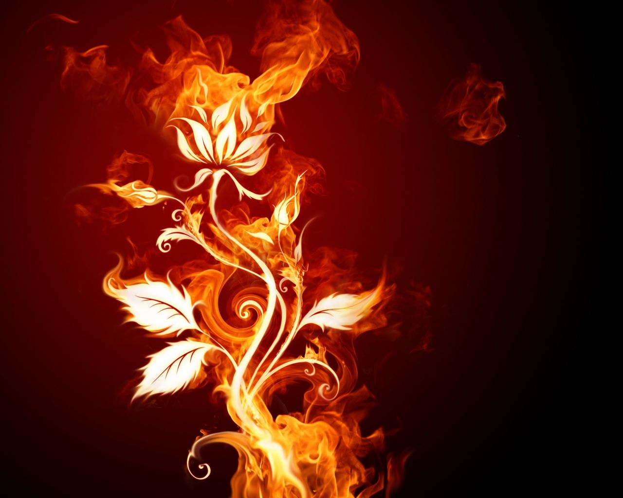 1280x1030 Fire Rose Wallpaper Wallpaper 1209, Desktop