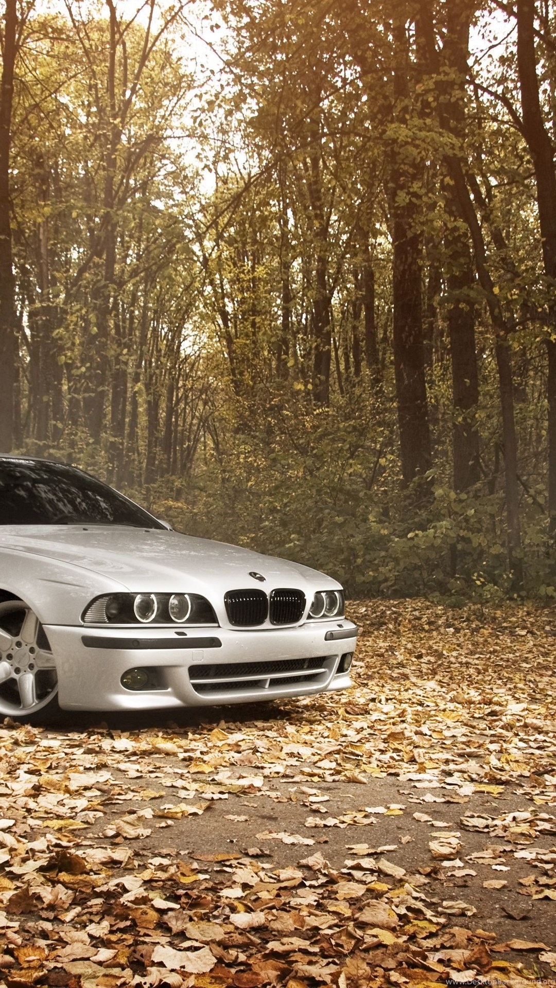 1080x1920 Download Wallpaper Bmw, M5 E Stance Works, Fall, Leaves, Forest. Desktop Background, Phone