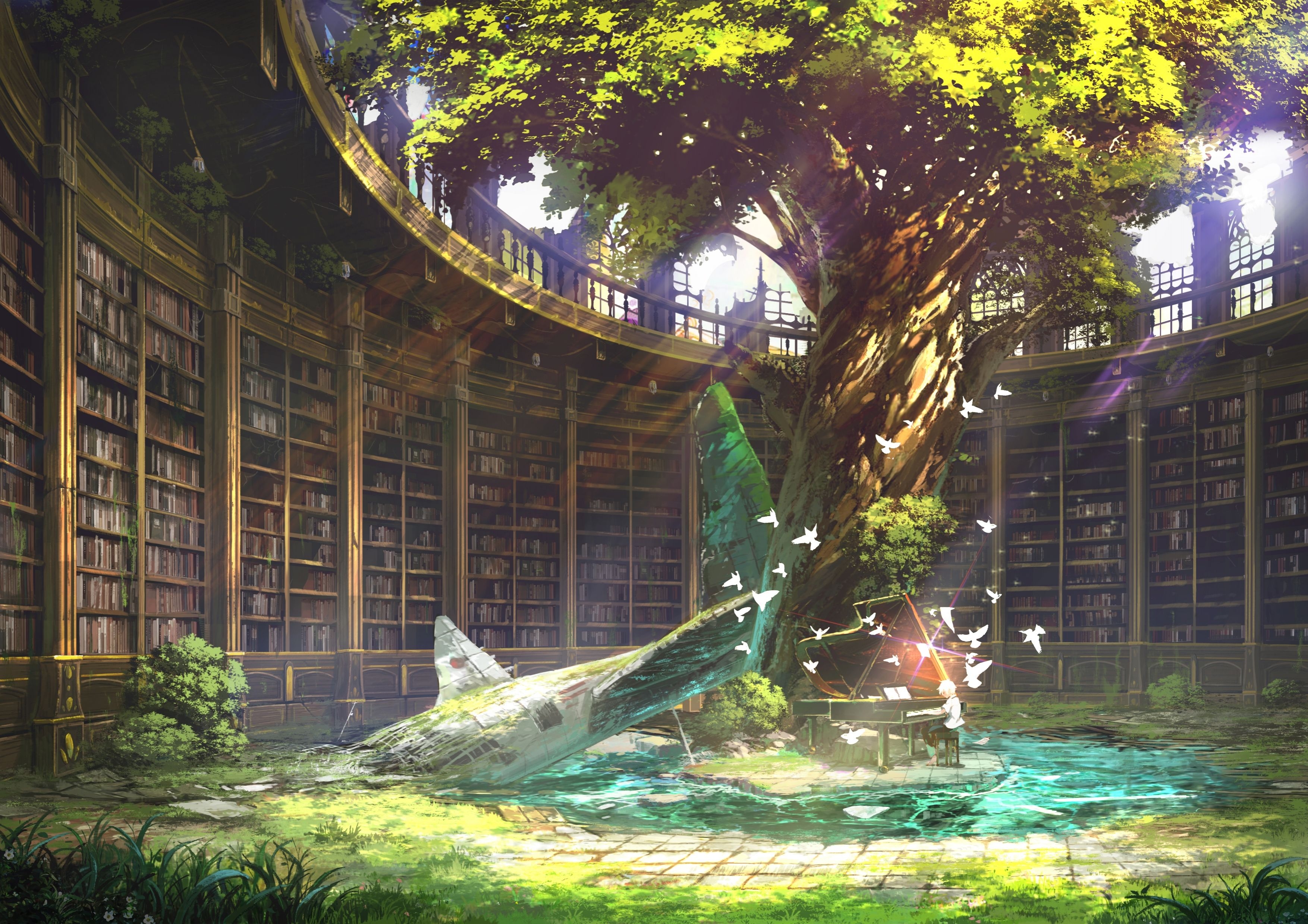 3510x2480 fantasy, tree, library, anime, nature, orginal, old, Desktop