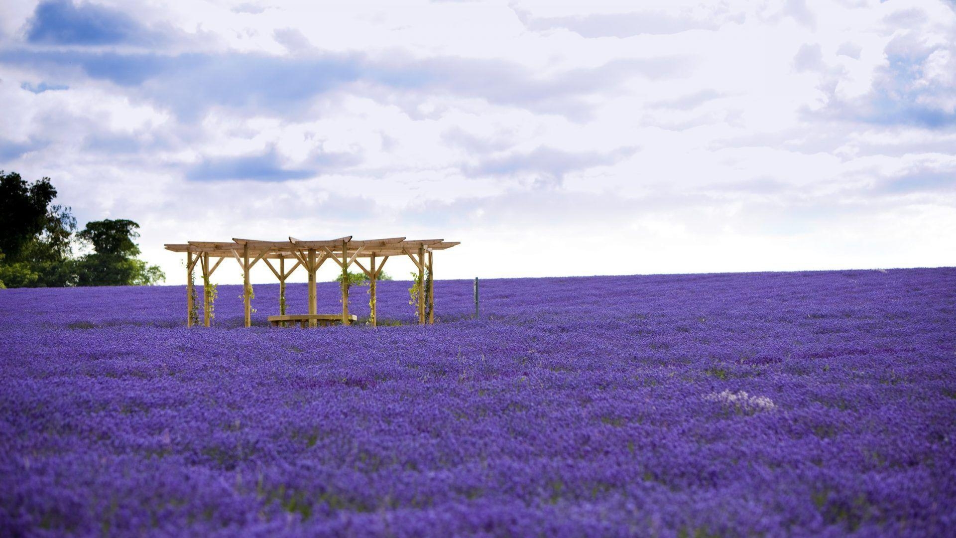 1920x1080 Wallpaper Tagged With Hokkaido: Field Nature Landscape Hokkaido, Desktop