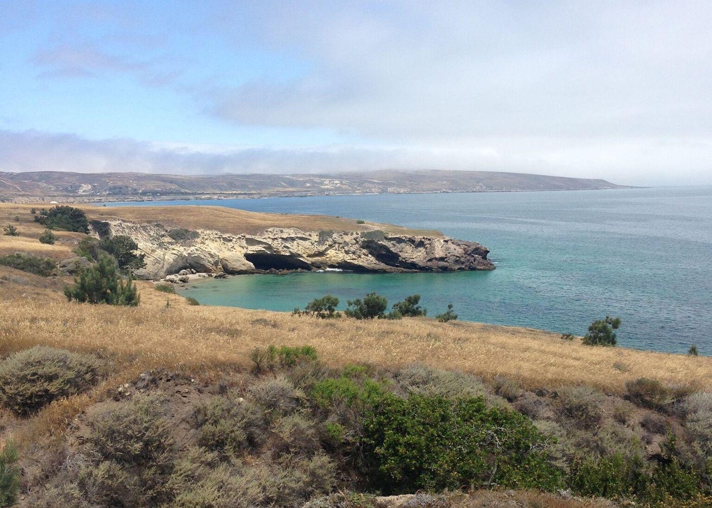 1400x1000 Volunteer Vacation at Channel Island, California, Desktop