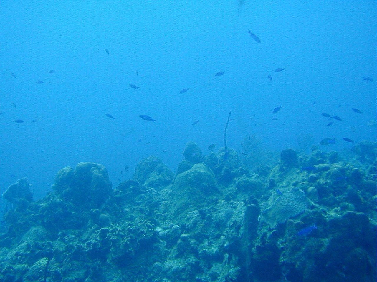 1280x960 Ocean Floor Wallpaper 4803 Download Free HD Desktop Background, Desktop