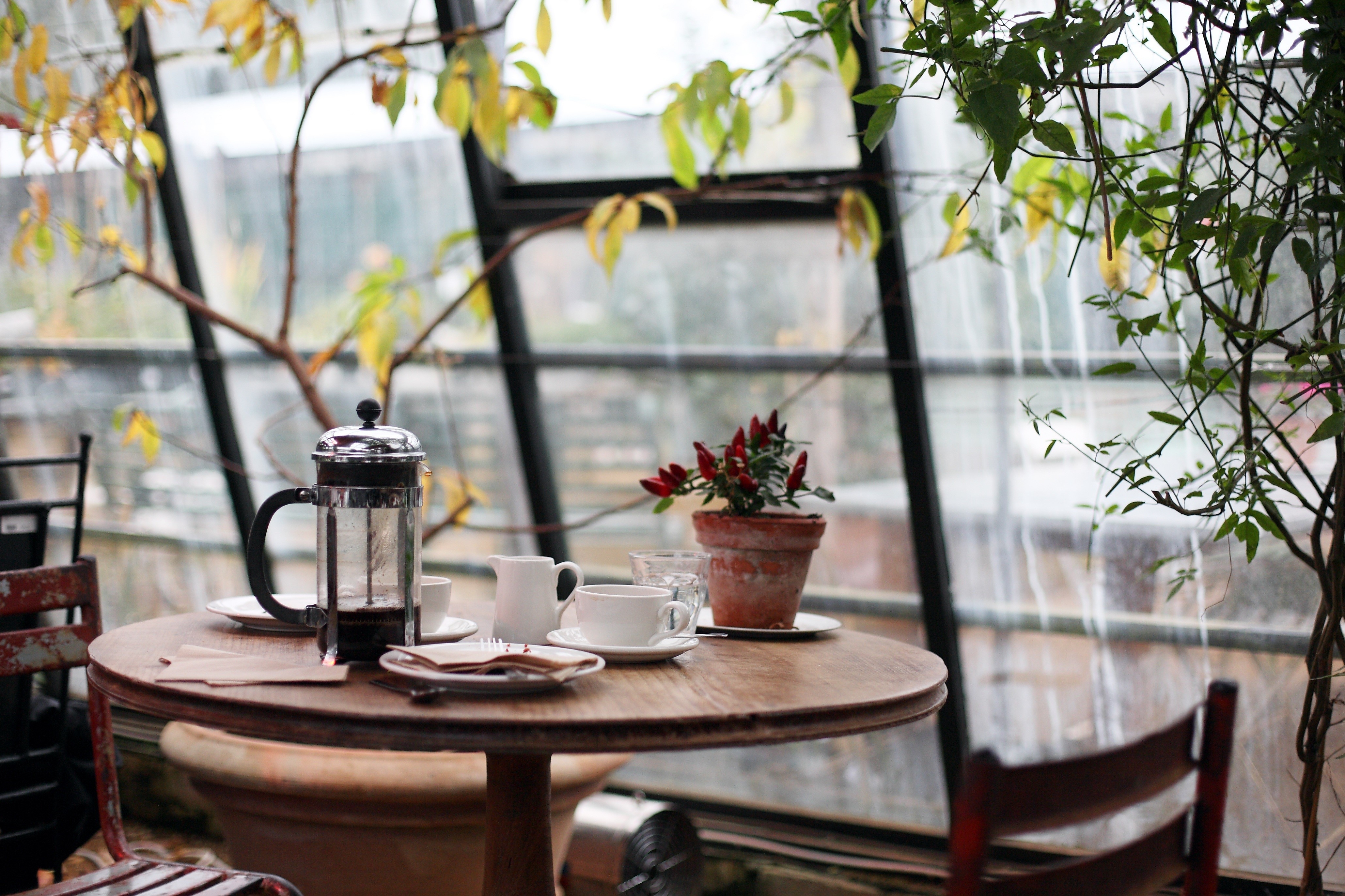 4130x2750 Full HD cafe wallpaper, Desktop